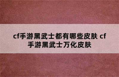 cf手游黑武士都有哪些皮肤 cf手游黑武士万化皮肤